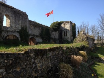 Ruines_du_château_ducal